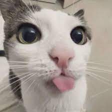 Bad Selfie